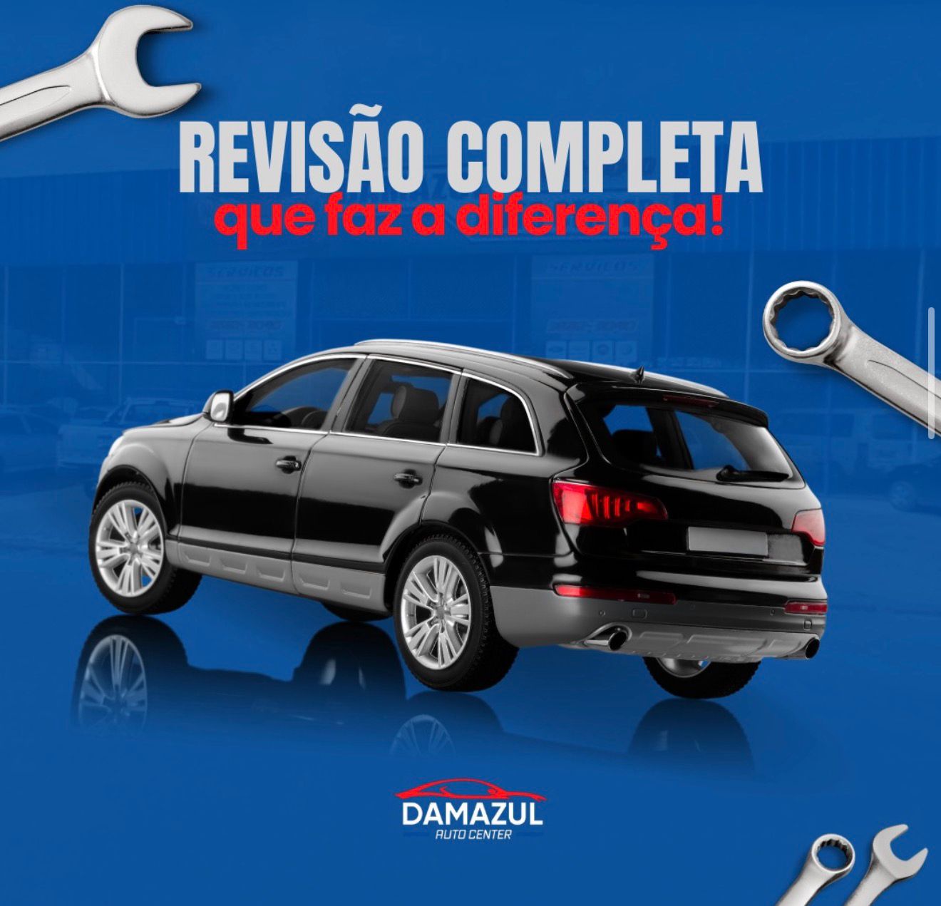 Revisão Completa Damazul